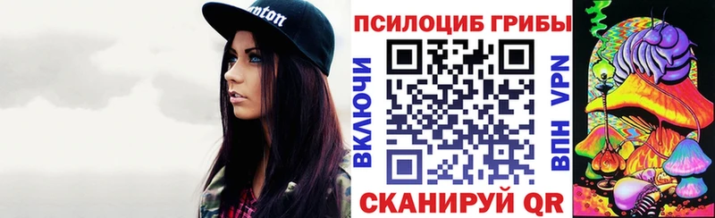 Галлюциногенные грибы Psilocybine cubensis  Старая Русса 